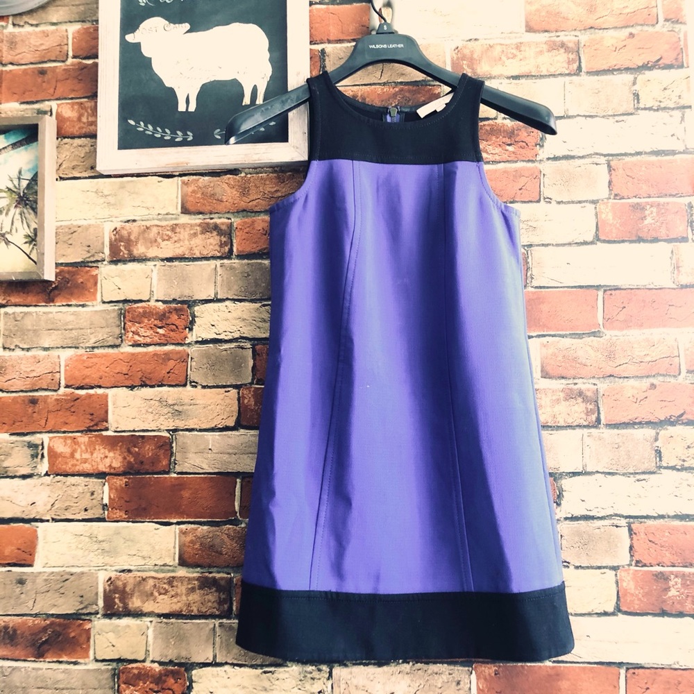 Loft purple/ indigo dress
